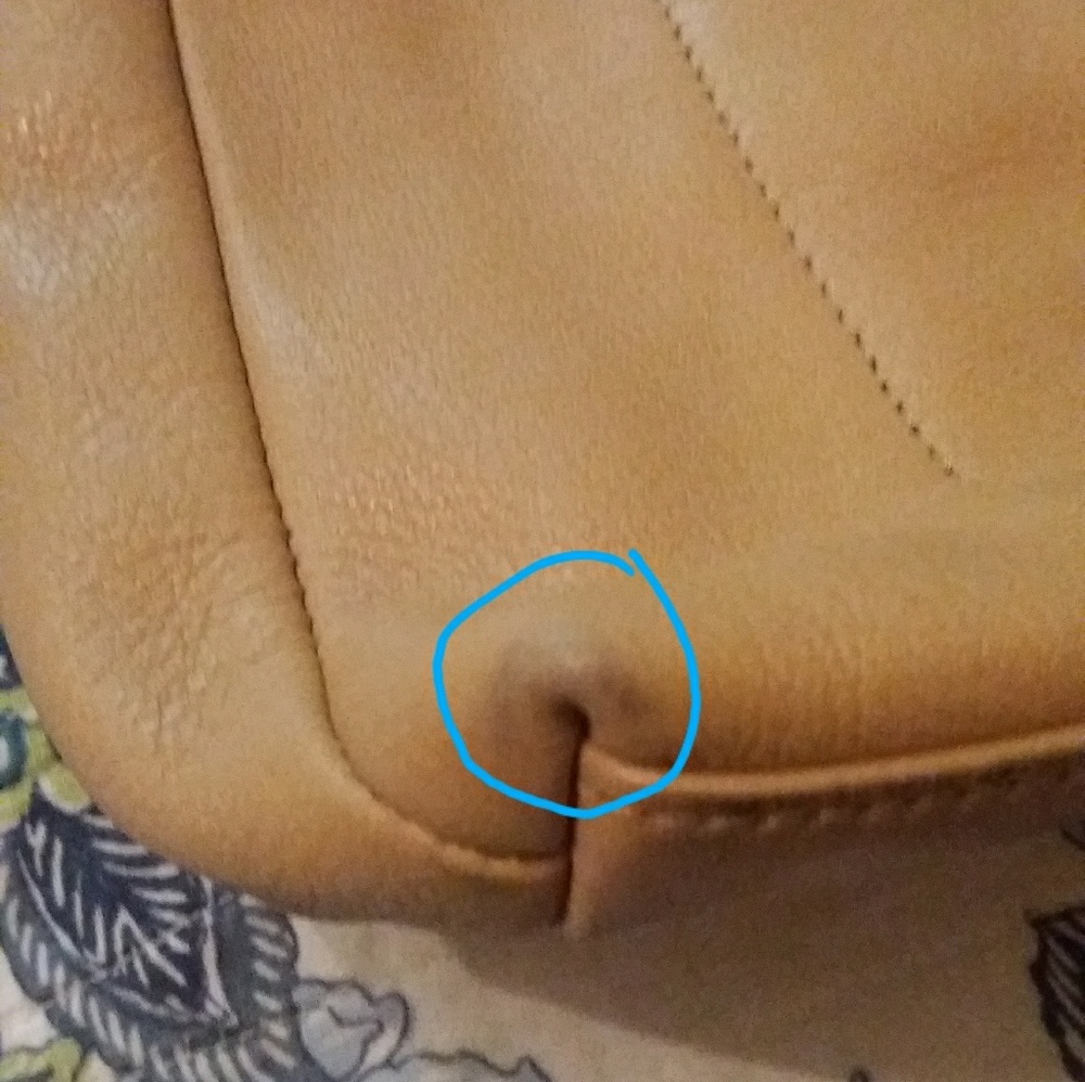 Stone Mountain - image 7